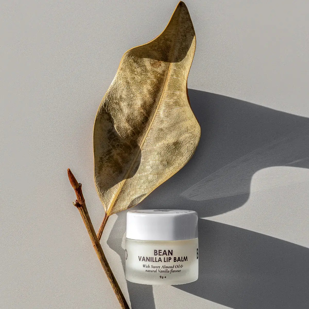 Bean Vanilla Lip Balm