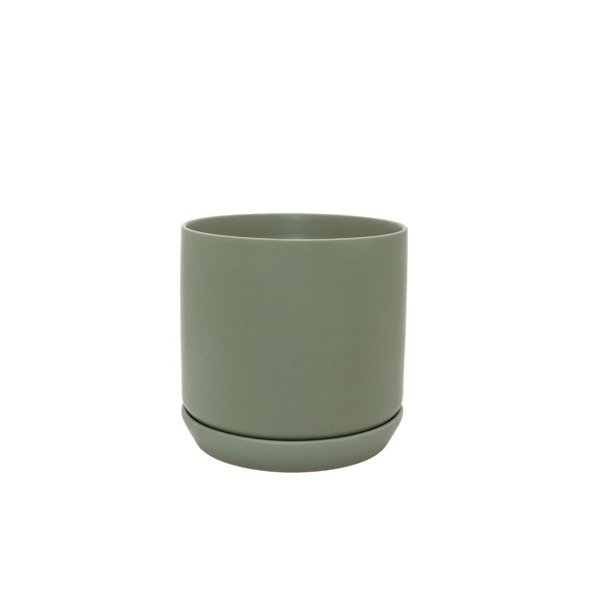 Medium Oslo Planter Eucalypt