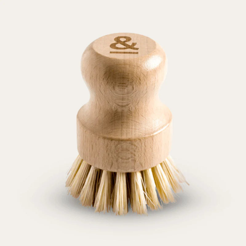 Seed & Sprout Pot Scrubber | Beechwood