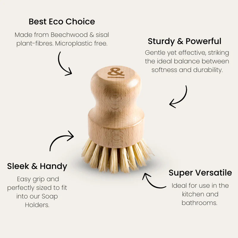 Seed & Sprout Pot Scrubber | Beechwood