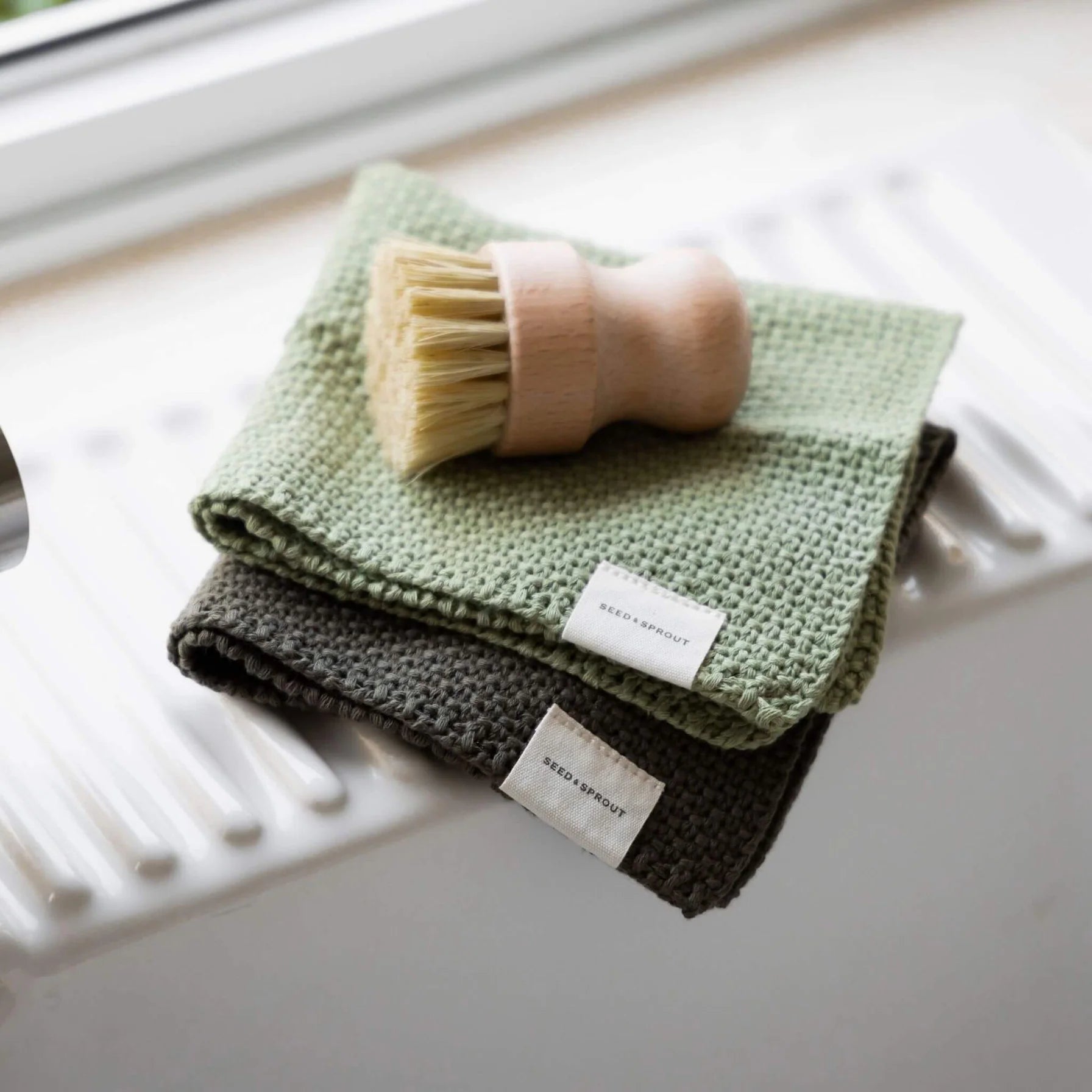 Seed & Sprout Pot Scrubber | Beechwood