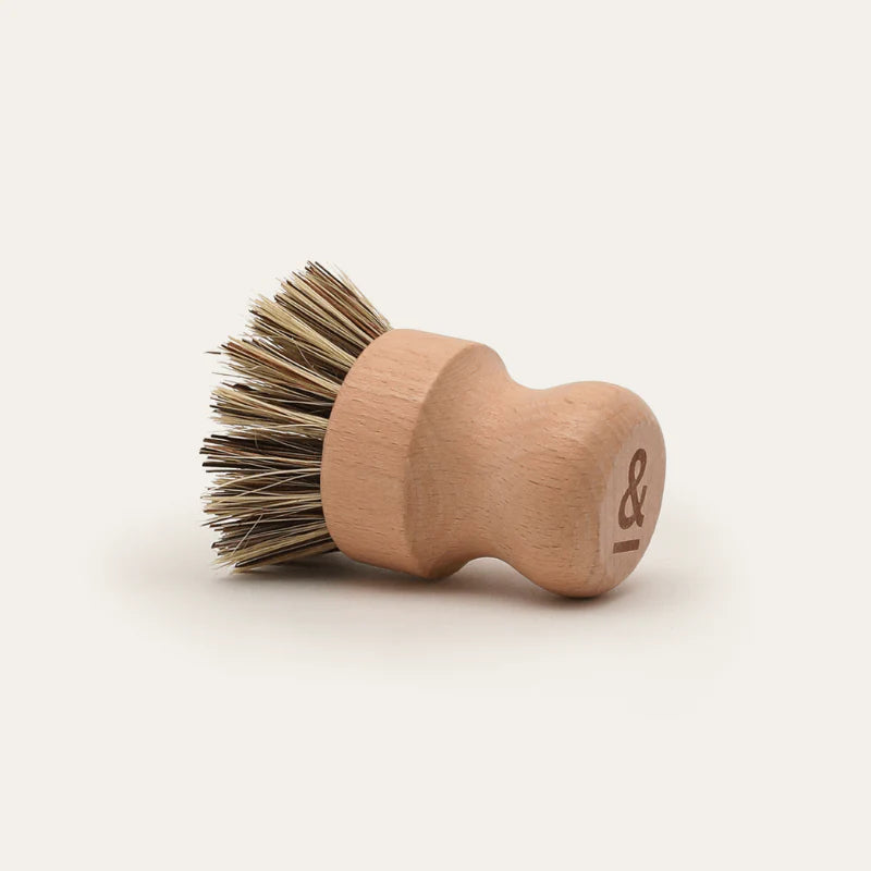 Seed & Sprout Tough Pot Scrubber