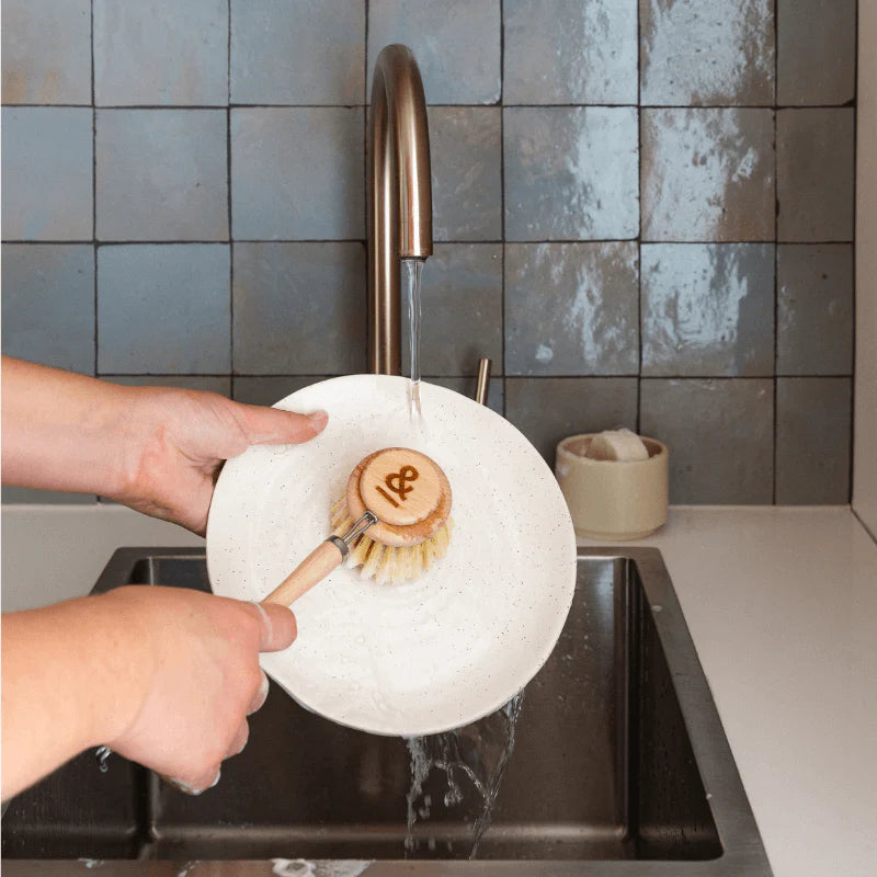 Seed & Sprout Dish Brush Set