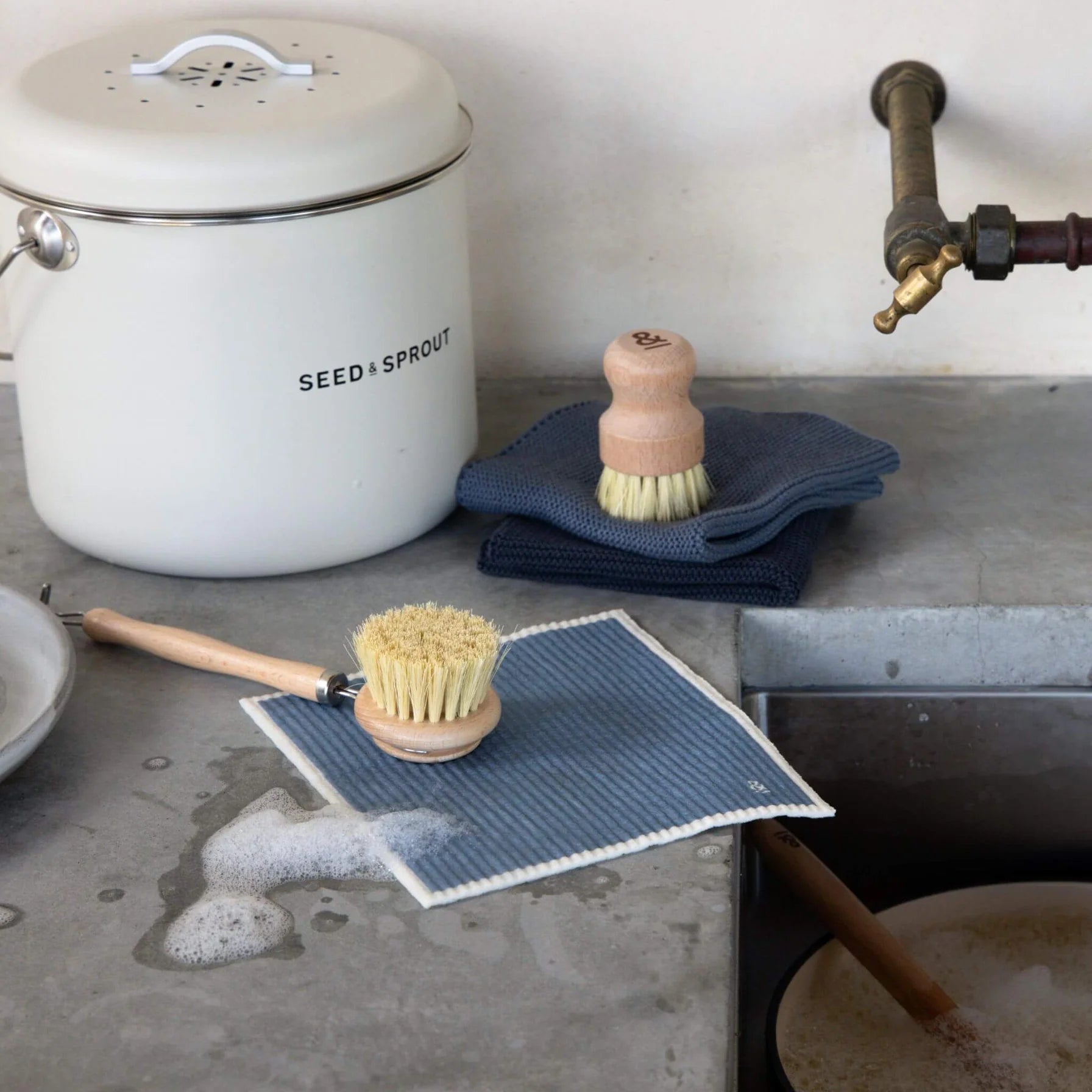 Seed & Sprout Dish Brush | Beechwood