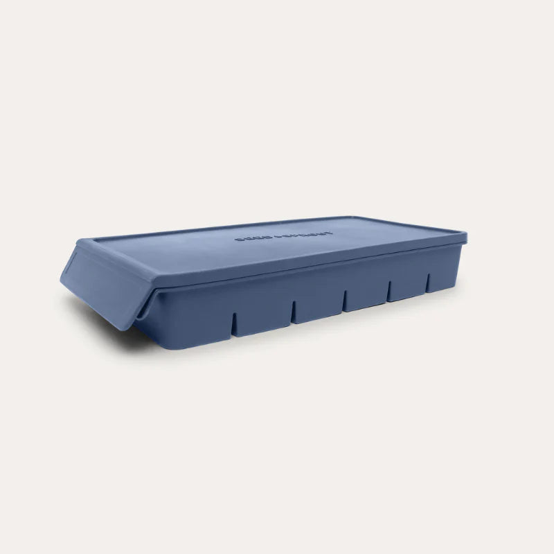 Seed & Sprout 6 Portion Silicone Freezer Tray | 100ml