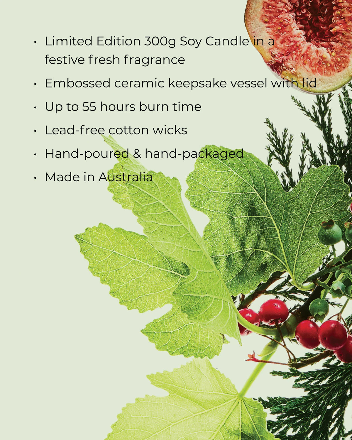 Circa - WHITE FIG & CEDAR
Soy Candle 300g