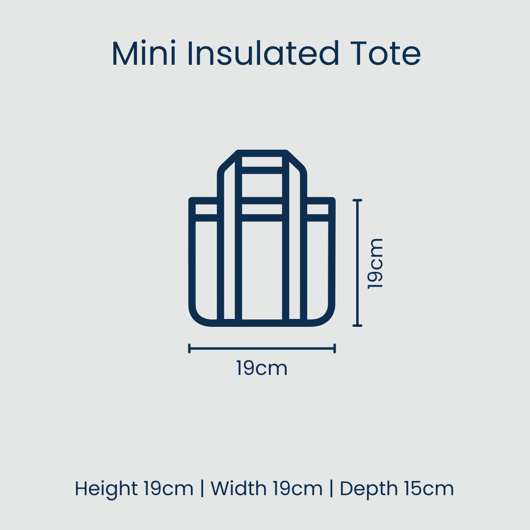 Mini Insulated Tote – Multi Stripe