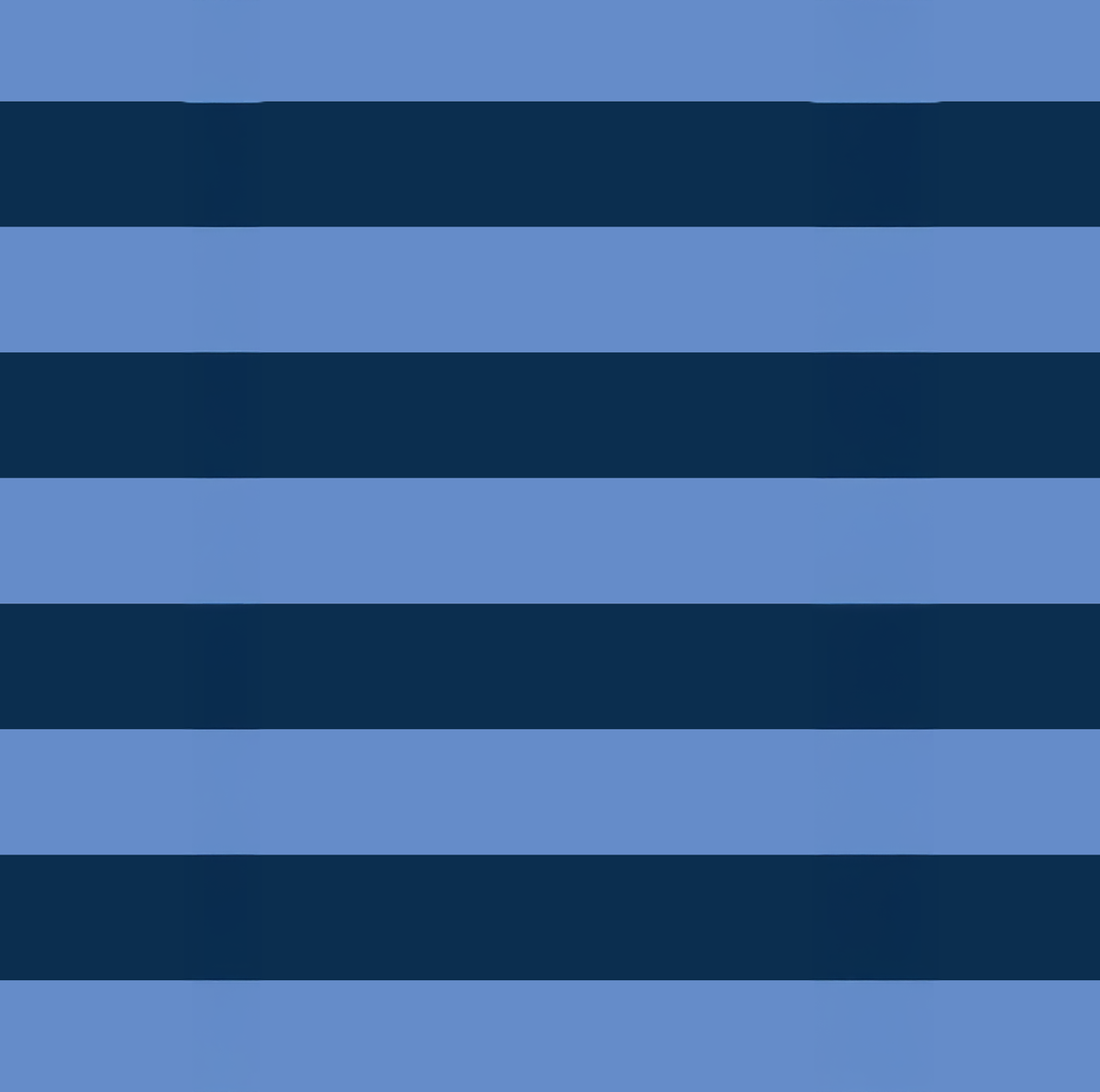 Double Glasses Case – Blue Stripe