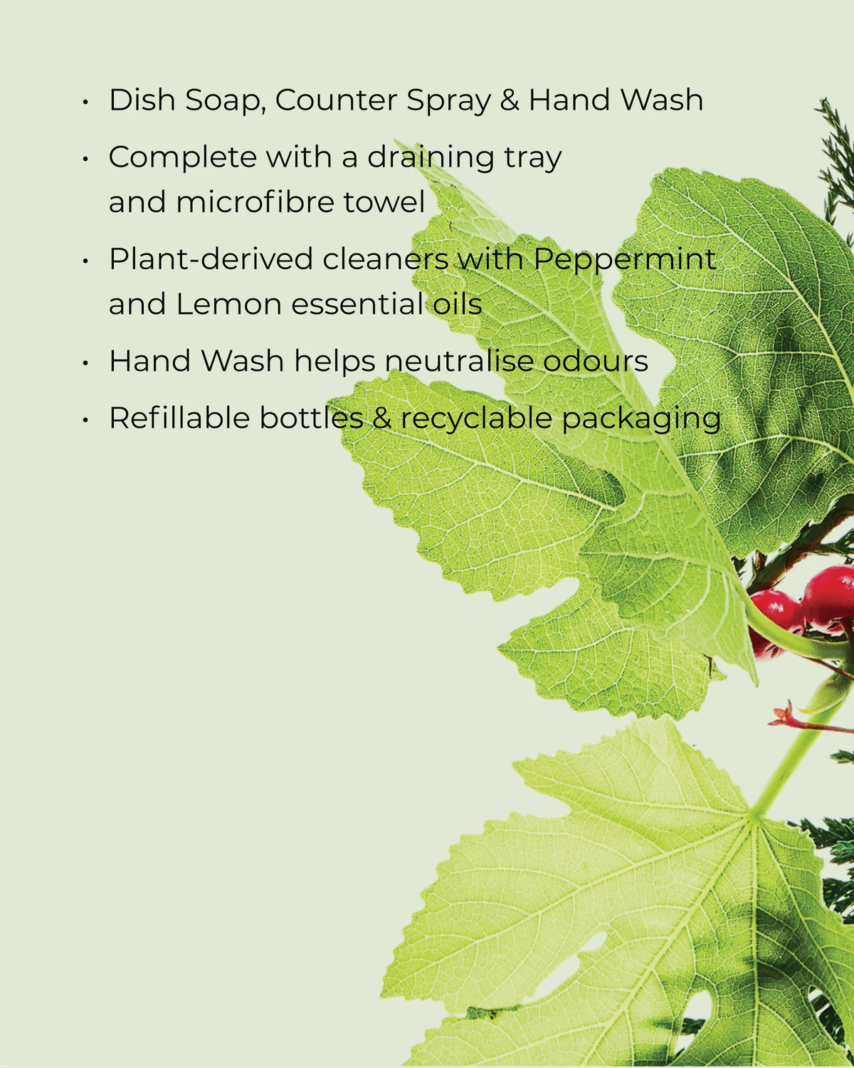 Circa WHITE TEA & WILD MINT - Kitchen Trio Gift Set 900mL