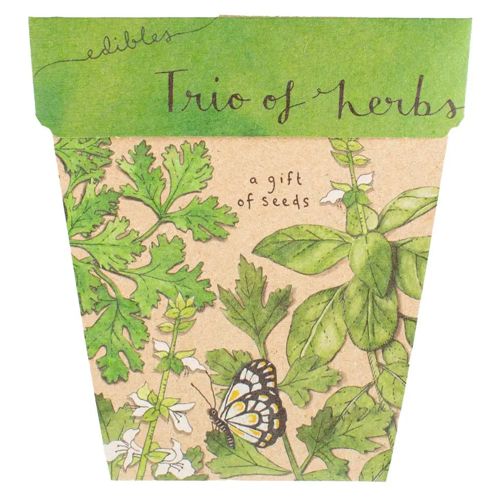 Trio of Herbs Gift of Seeds