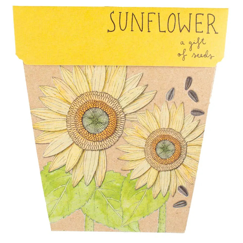 Sunflower Gift Of Seeds