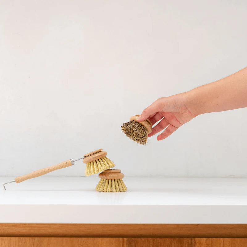 Seed & Sprout Dish Brush Set