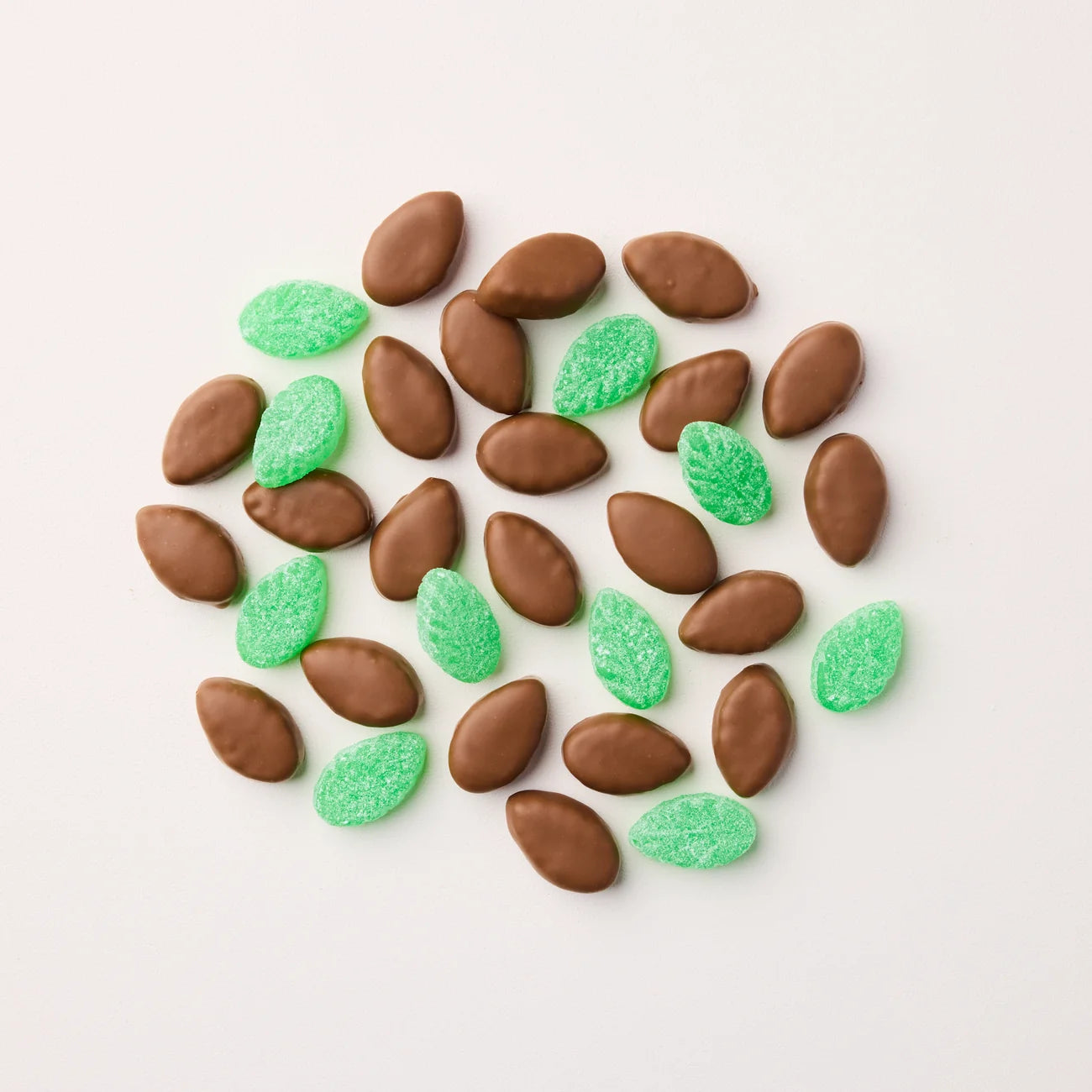 Milk Chocolate Mint Leaves