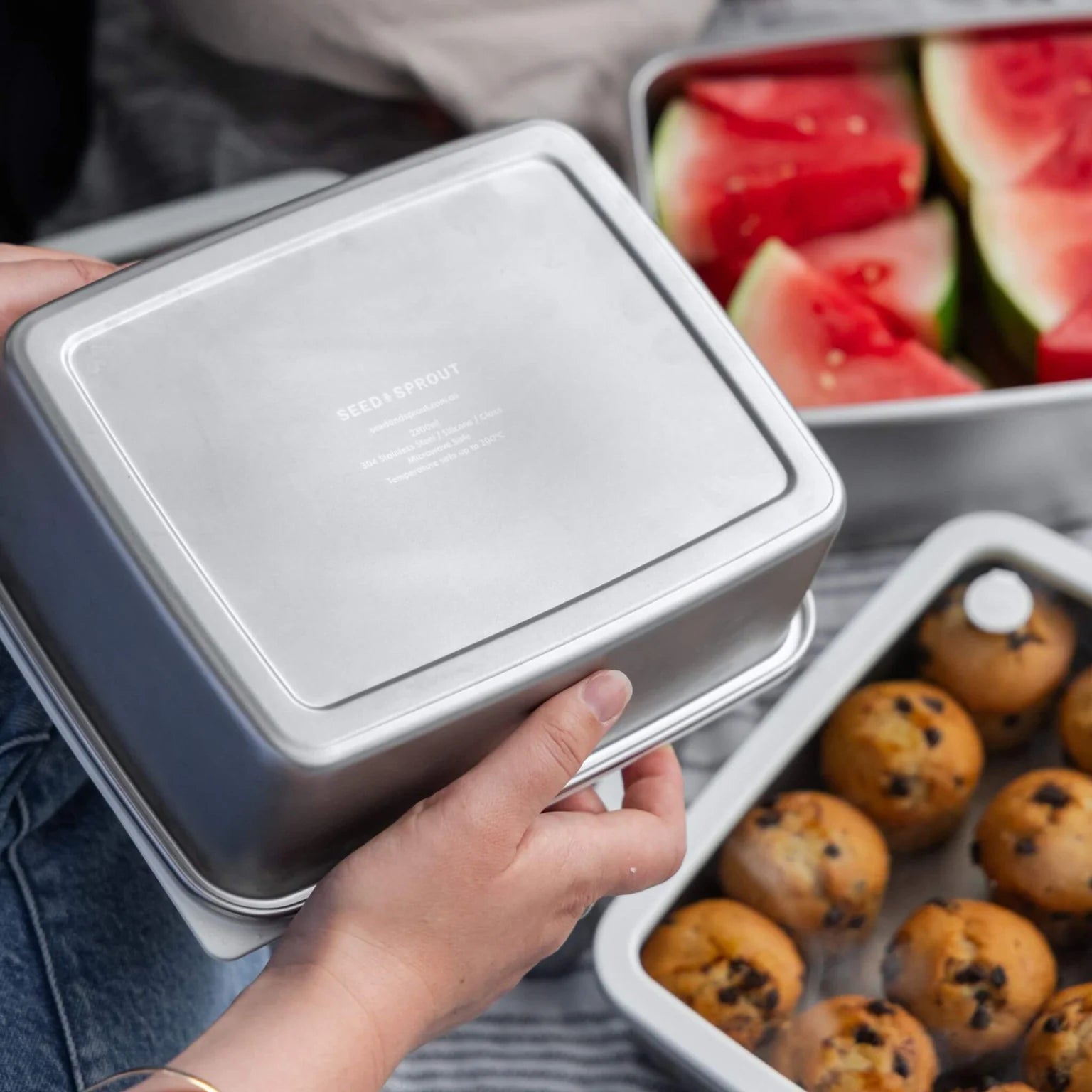 Seed & Sprout Rectangle Stainless Steel and Glass Containers | 3pk