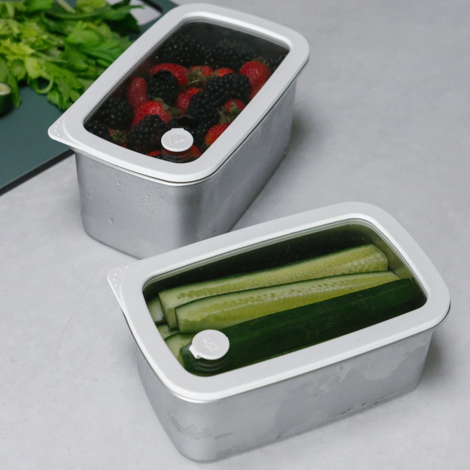 Seed & Sprout Rectangle Stainless Steel and Glass Containers | 2pk