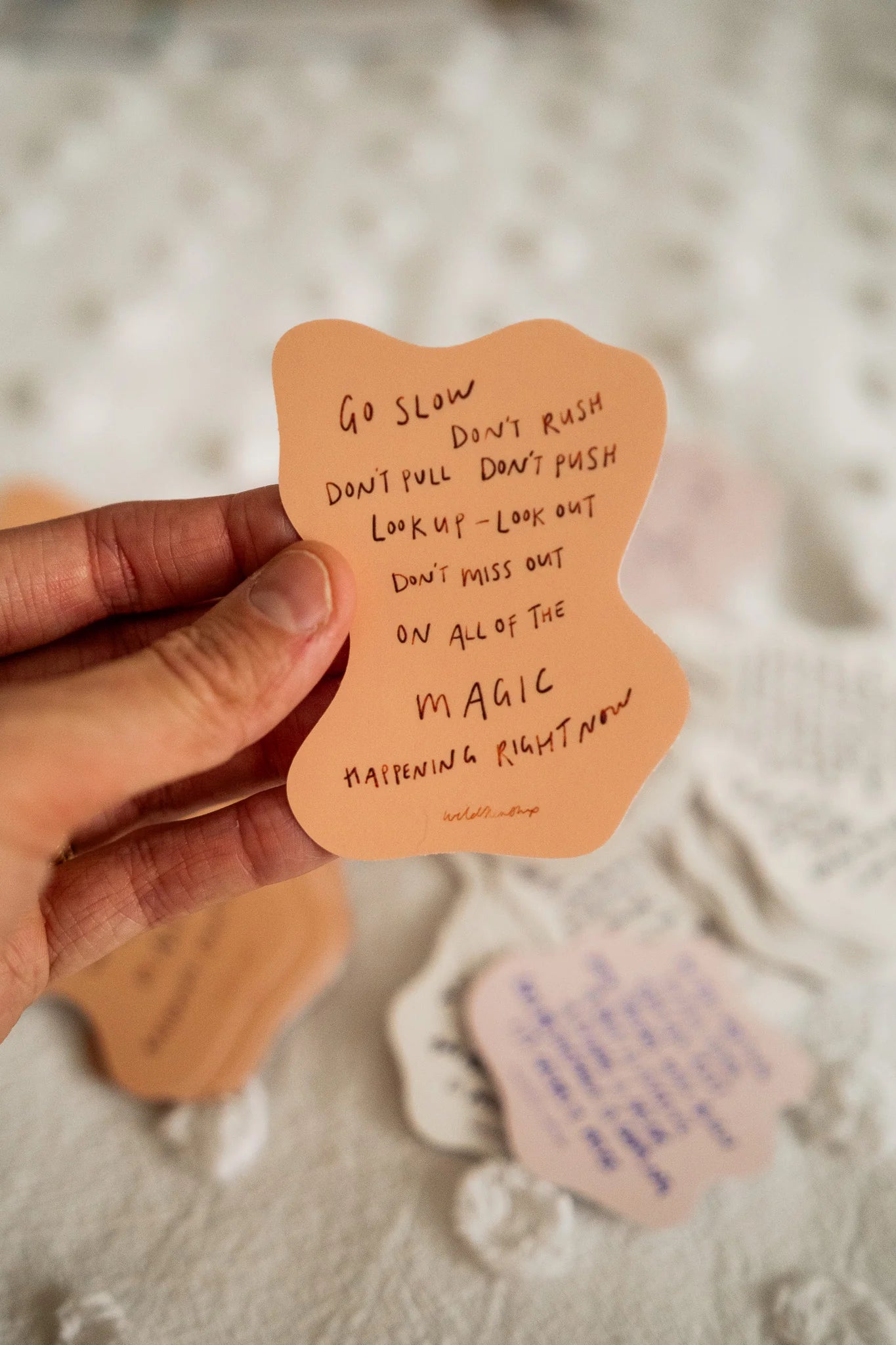 'Go Slow' Sticker