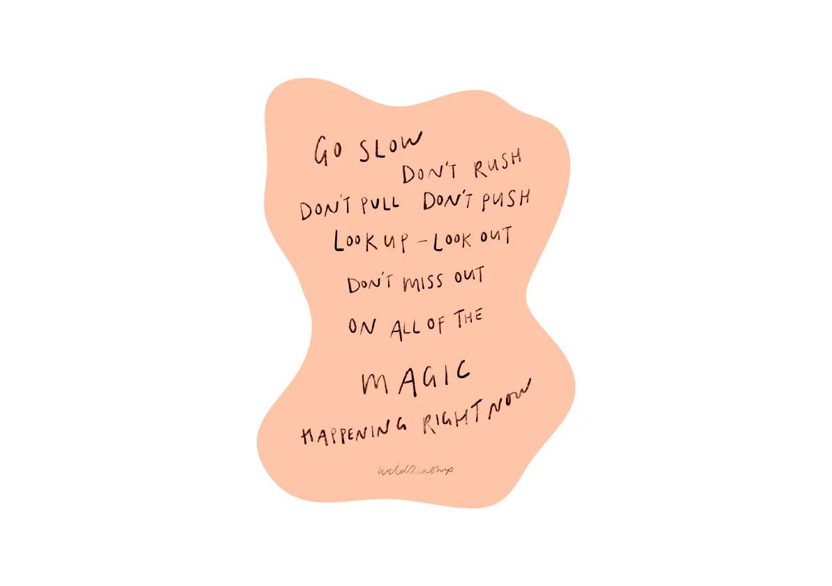 'Go Slow' Sticker